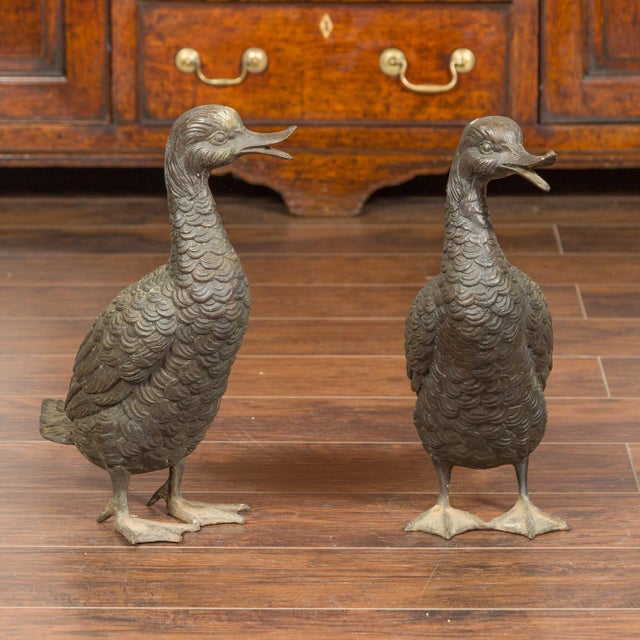 Vintage Bronze Ducks Standing on Their Palmed Feet, circa 1940 - a Pair For Sale In Atlanta - Image 6 of 12