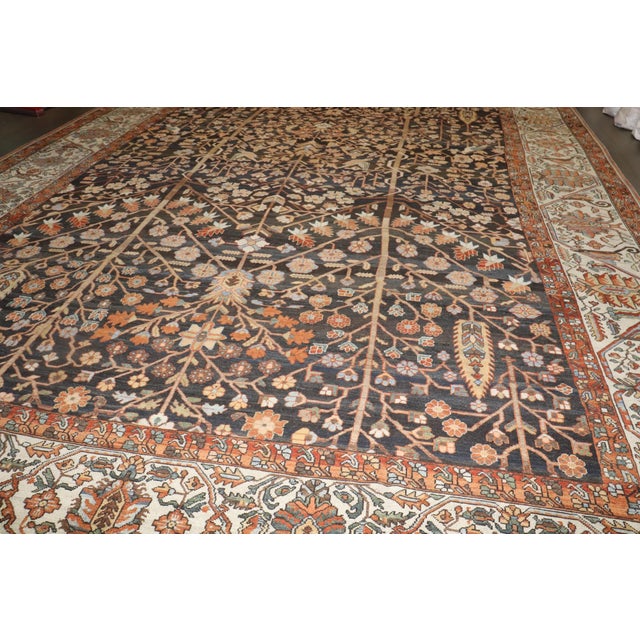 Early 20th Century Persian Bakhtiari Oversize Snake Rug - 13'7" x 22' For Sale - Image 9 of 18