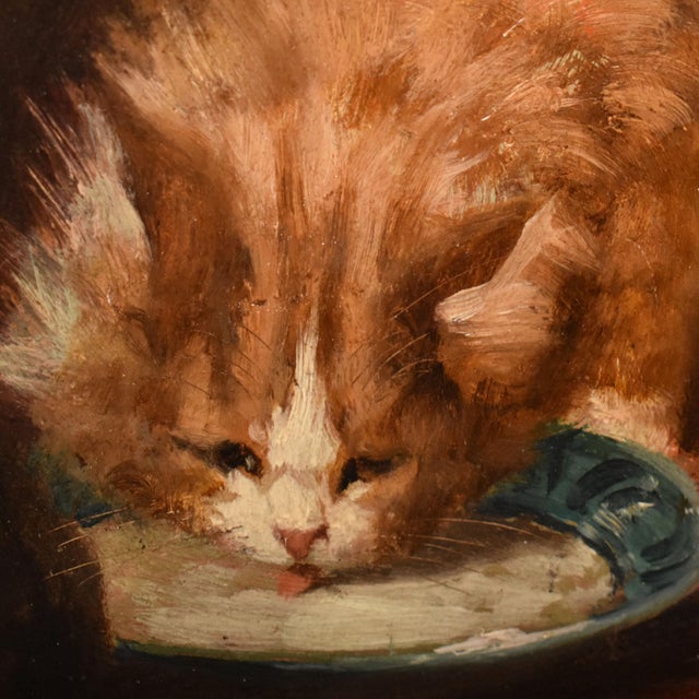 Jules Gustave Le Roy, Cats Portrait Painting, 1800, Oil Painting on Wood For Sale - Image 8 of 11