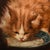 Jules Gustave Le Roy, Cats Portrait Painting, 1800, Oil Painting on Wood For Sale - Image 8 of 11
