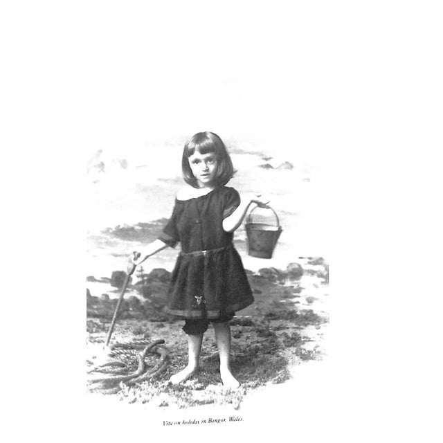 "Vita: A Biography of Vita Sackville-West" 1983 Glendinning, Victoria For Sale - Image 10 of 10