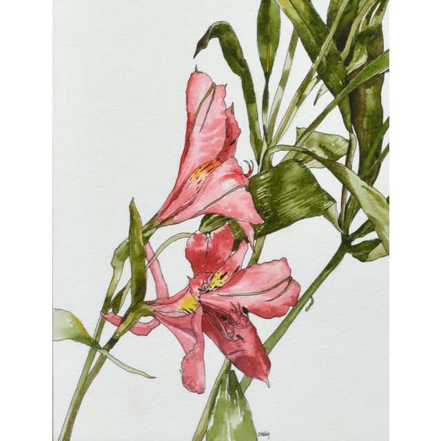 Realism Peruvian Lilies For Sale - Image 3 of 6