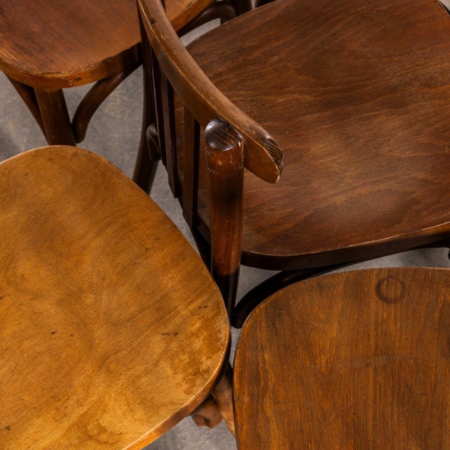 Vintage Honey Oak and Bentwood Dining Chairs, 1950s, Set of 12 For Sale - Image 9 of 11