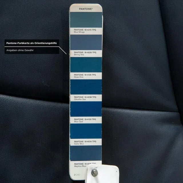 Animal Skin DS-102 Three-Seater Sofa in Leather from De Sede For Sale - Image 7 of 12