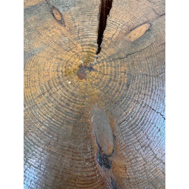 Design Plus Gallery presents a Tree Stump Side Table or Stool. The piece is totally organic with a live edge wood rim and...