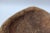 Large Cork Bark Decorative Bowl For Sale - Image 10 of 13