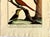 18th-Century Pair of French Hand-Colored Copperplate Engravings of Exotic Birds, by François-Nicolas Martinet For Sale - Image 10 of 18
