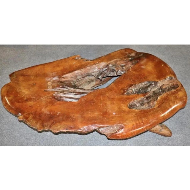 Brown Custom Live Edge Coffee Table For Sale - Image 8 of 8