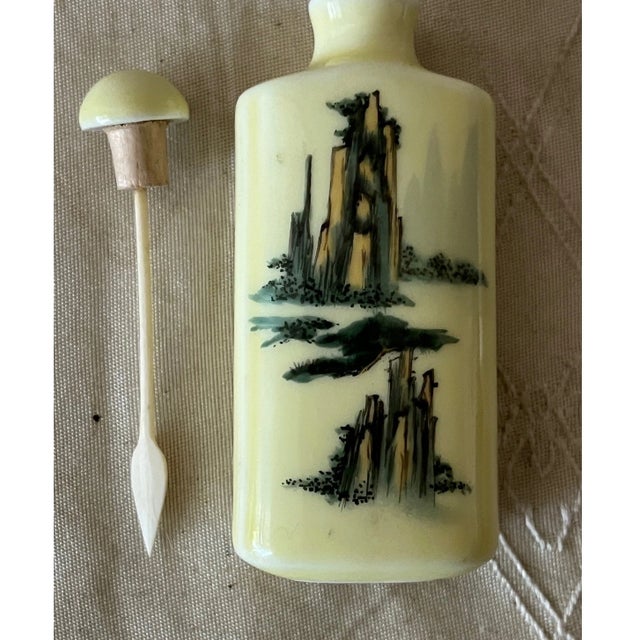 Vintage Chinese Snuff Bottles - Inside Painted Glass & Porcelain - Set of 5 For Sale - Image 11 of 12