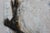 Early 21st Century Natalia Vypritskaia, Membrane, 2026, Textured Paste on Canvas For Sale - Image 5 of 9