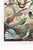 Hummingbirds Vintage Art Print Reproduction, Natural History Bird Artwork, 24" X 36" For Sale - Image 9 of 10