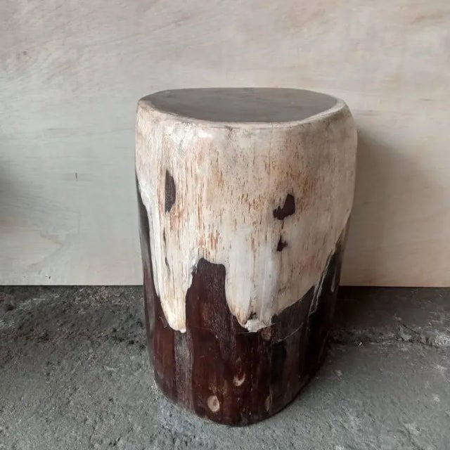 Wood Vintage Petrified Wood Stump Side Table For Sale - Image 7 of 8