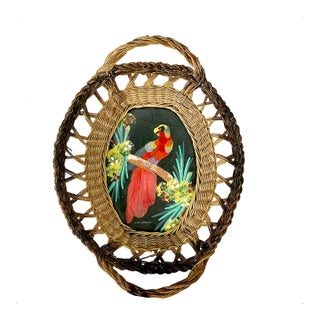 1950s Vintage Mexican Folk Art Original Feather Mixed Media Acrylic Bird Painting With Basket Frame For Sale