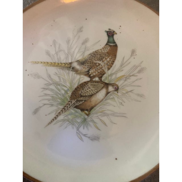 Rustic Vintage Andrea by Sadek Wild Game Bird Plates, Japan - Set of 4 For Sale - Image 3 of 11