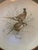 Rustic Vintage Andrea by Sadek Wild Game Bird Plates, Japan - Set of 4 For Sale - Image 3 of 11
