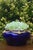 French Antique French Cobalt Blue Glass Jardinière With Gilt Bronze Floral Garland Mounts For Sale - Image 3 of 3