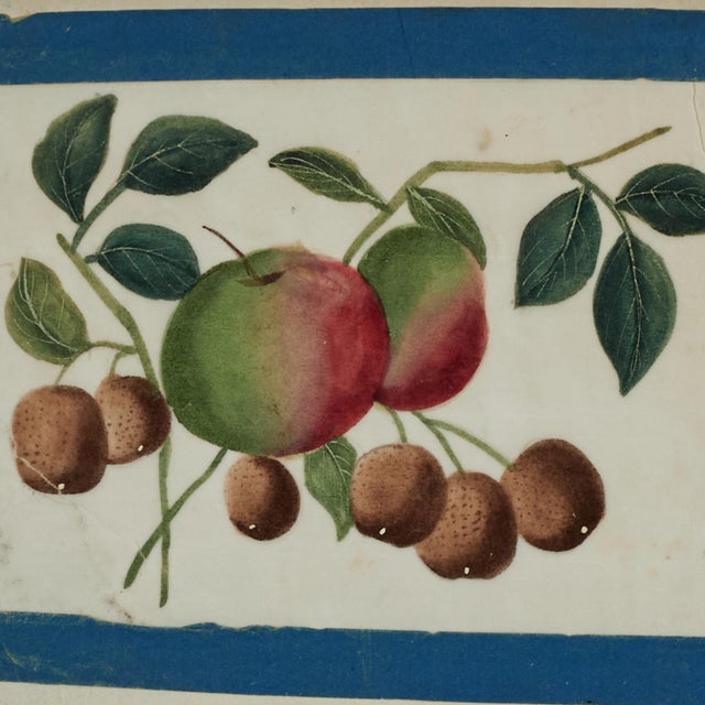 William IV Set of Nine Antique Chinese Botanical Fruit Paintings on Pith Paper For Sale - Image 3 of 18