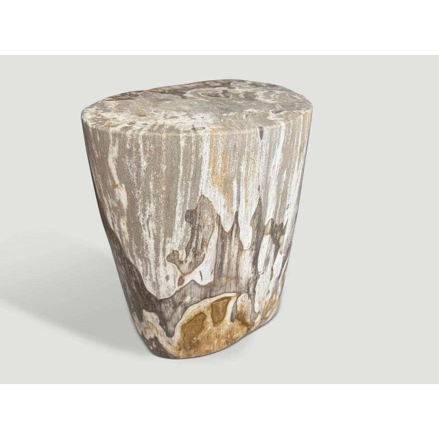 Andrianna Shamaris Impressive High Quality Ancient Petrified Wood Side Table For Sale In New York - Image 6 of 6