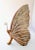 Gold Vintage XL Butterfly Table Sculpture Figurine For Sale - Image 8 of 8