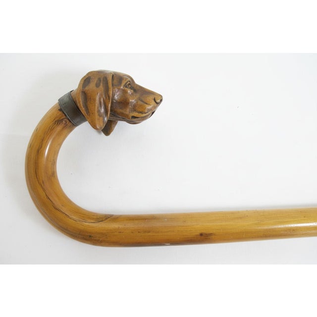 Antique Victorian era hand carved wood walking stick with sculpted dog head handle. Resembles a Pointer breed with red...