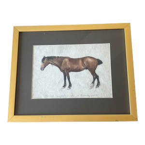 Original Watercolor "The Old Long-Bodied Cob of Gaddesby Farm" Horse Portrait 1914 Leicester, England