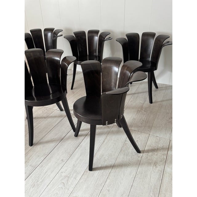Fiore Chairs by Miro Harold, 1980s, Set of 6 For Sale - Image 6 of 18