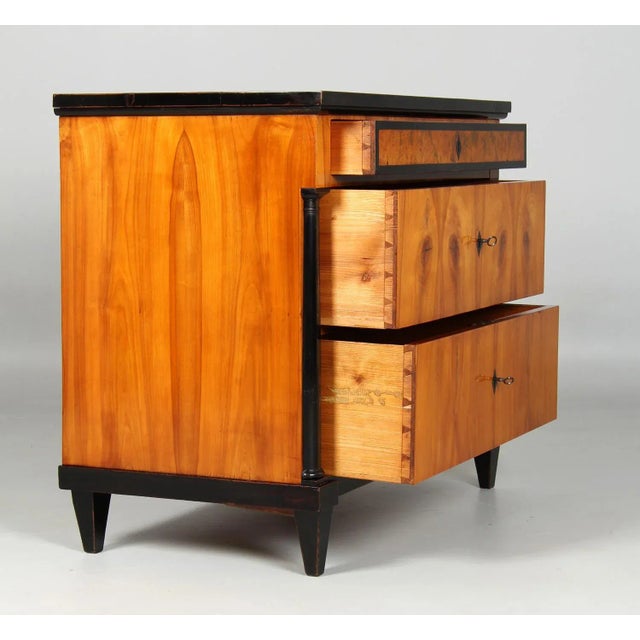 Black Antique Biedermeier Chest, 1820s For Sale - Image 8 of 13