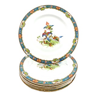 1920's John Maddock & Sons “Royal Vitreous” Bird Plates, Set of 6 For Sale