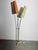 Mid-Century Modern Mid-Century Floor Lamp in Brass with Fiberglass Shades attributed to Cosack, 1950s For Sale - Image 3 of 18