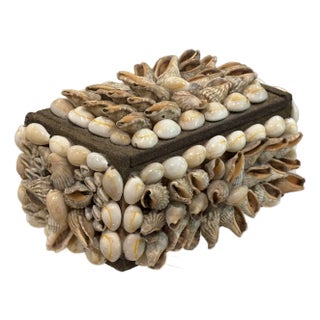 Vintage Palm Beach Style Rectangular Encrusted Shell Box in Neutral Palette For Sale