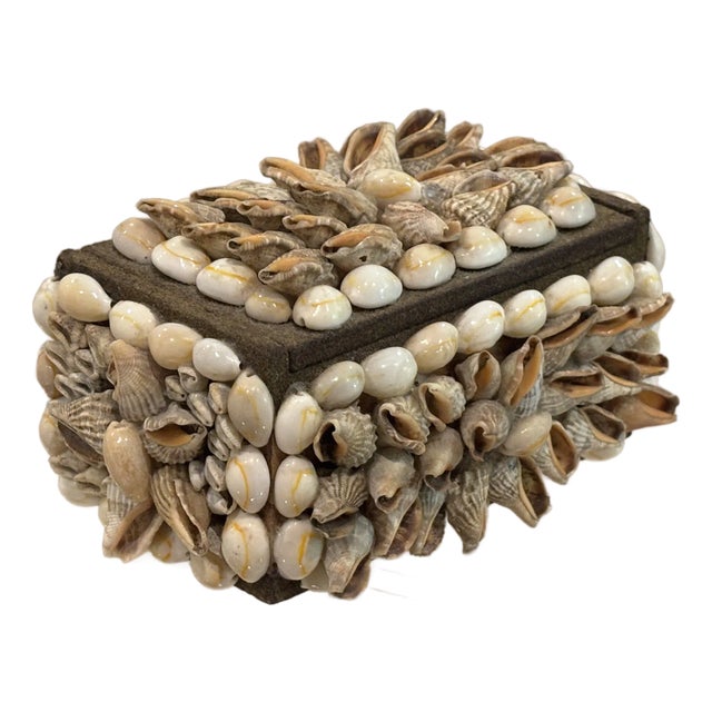 Vintage Palm Beach Style Rectangular Encrusted Shell Box in Neutral Palette For Sale