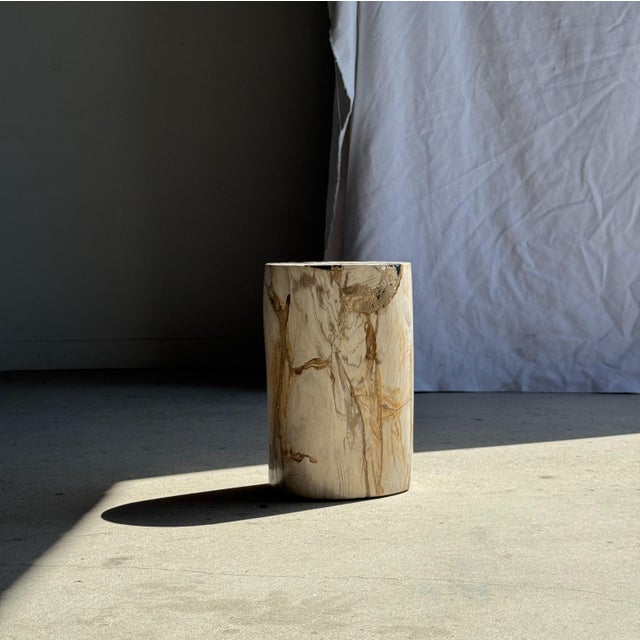 White petrified wood stool/side table inlaid with black. Petrified wood is a fossilized wood (same family as magnolia)...