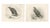 British Eagle Photogravures by L. M. Medland, 1908, Set of 2 For Sale - Image 9 of 9