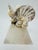 Italian Marble and Shell Sculpture For Sale - Image 4 of 8