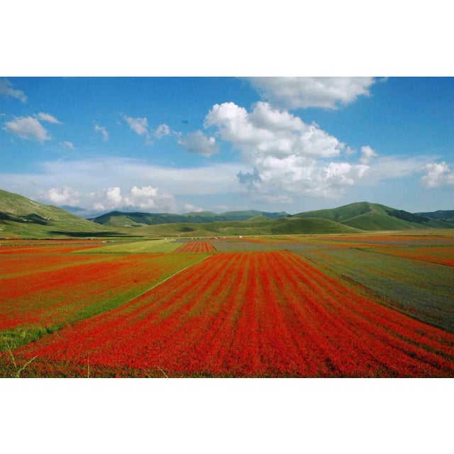 Red slopes is one of the best photo on canvas realized by Giuseppe Marani in 2010. Always passionate about landscapes and...