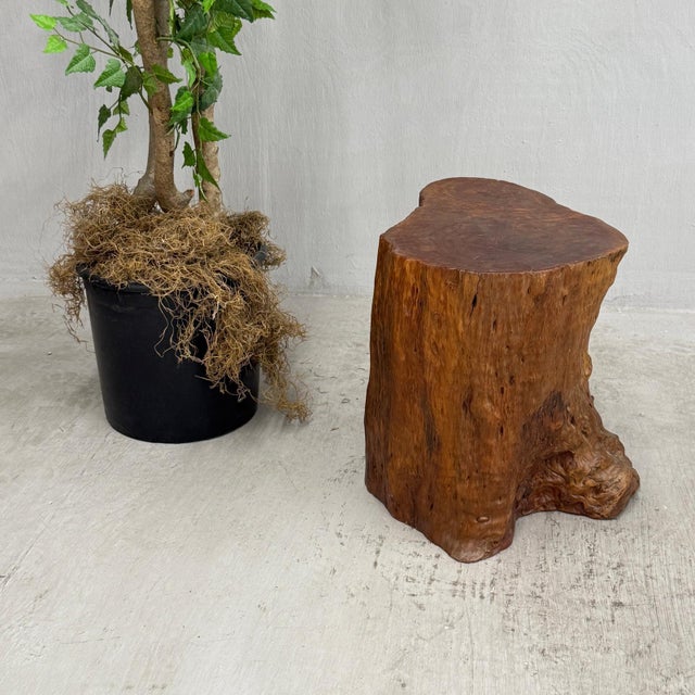Rustic Mid 20th Century Warm Honey Brown Free-Form Tree Trunk Side Pedestal Table For Sale - Image 3 of 10