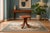 Sculptural Stool in Teak with Bowl Seat from Dyrlund, Denmark, 1960s For Sale - Image 10 of 14
