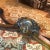 Antique Hand-Carved and Shaped Center Table For Sale - Image 4 of 13