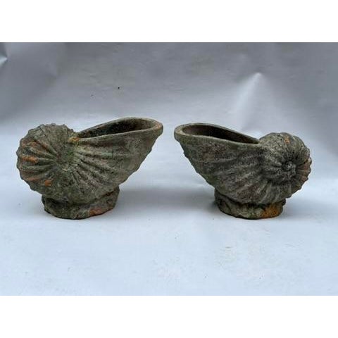 Terracotta Shell Planters a Pair For Sale - Image 4 of 11