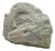 Sirio Pellegrini, Fossil Sculpture, 1960s, Terracotta For Sale