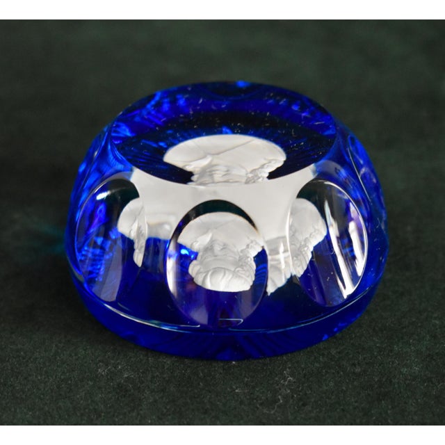 Cristal D’Albret Crystal Paper Weight Vintage France John James Audubon Glass For Sale - Image 9 of 18