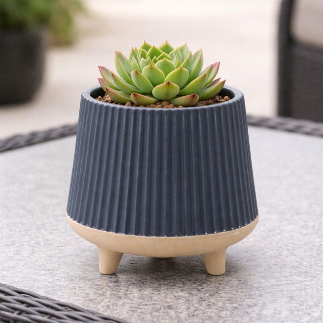 Elevate your plant display with the Ceramic Ribbed Footed Planter Set. These planters feature cool navy blue and beige...