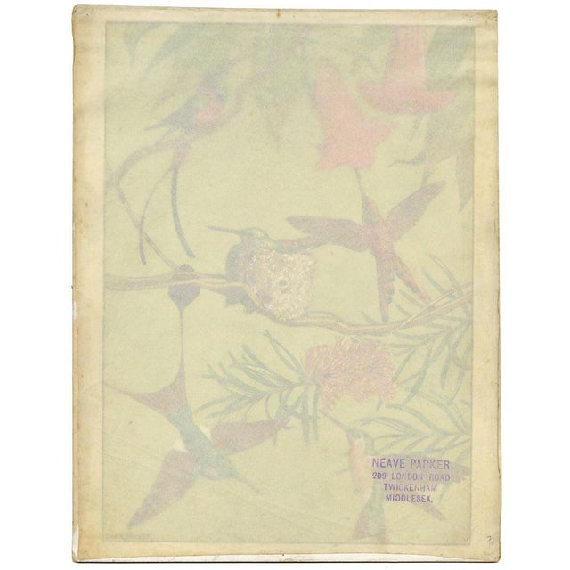 William Neave Parker, Hummingbirds Illustration, 1950s, Gouache For Sale - Image 6 of 9