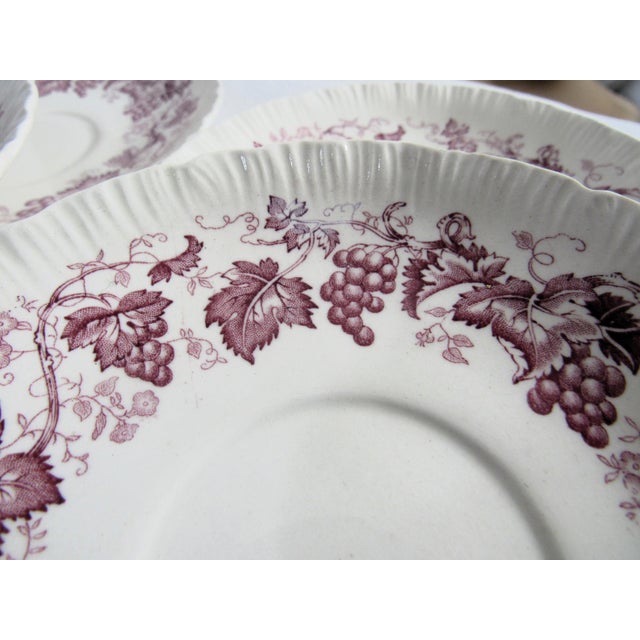 Ceramic Vintage "Old Vine" Wedgwood Etruria & Barlaston England Set of Saucers 10 For Sale - Image 7 of 11