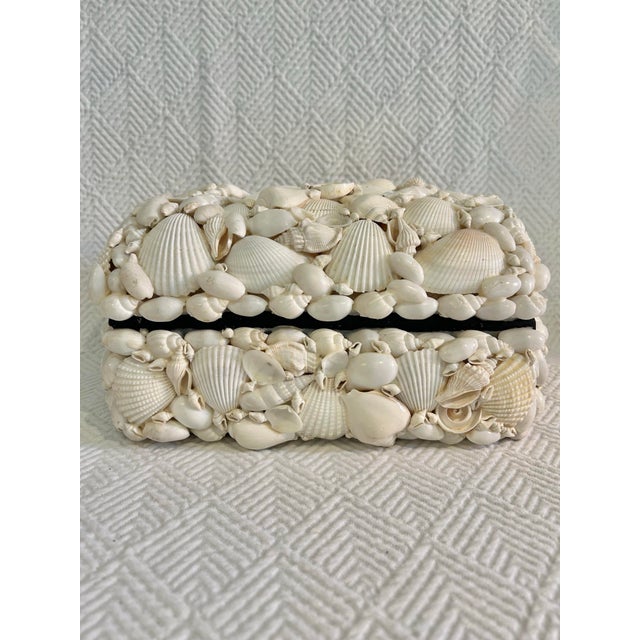 Late 20th Century Coastal or Palm Beach Sailors Valentine White Shell Encrusted Box For Sale - Image 4 of 8