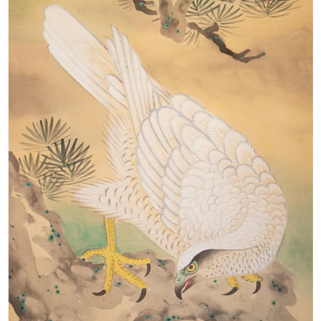 Nishii Shōdō "White Hawk on a Pine Tree", Late Meiji to Early Showa Large Scroll Painting For Sale In Dallas - Image 6 of 18