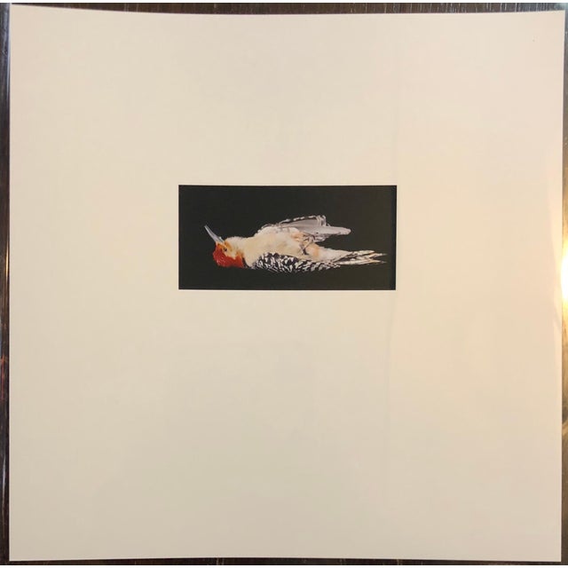 This is a proof print. signed and marked bat (for bon a tirer or good to print) This is a single print from 1998 Birds....