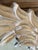Vintage Carolina Mirror Carved Palm Leaf Wall Mirror – Coastal Organic Modern For Sale In Naples, FL - Image 6 of 12