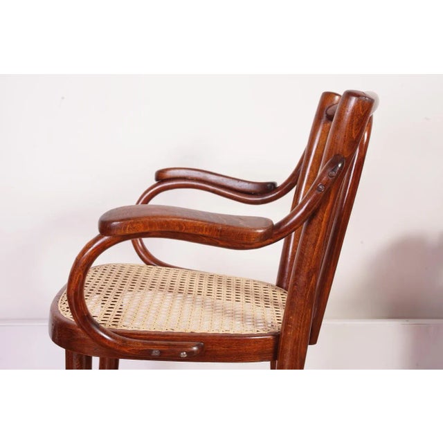 Vintage Children's Chair Model Z 2F From Thonet, 1930s For Sale - Image 13 of 18