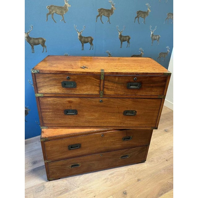 Antique Campaign Chest of Drawers For Sale - Image 13 of 13